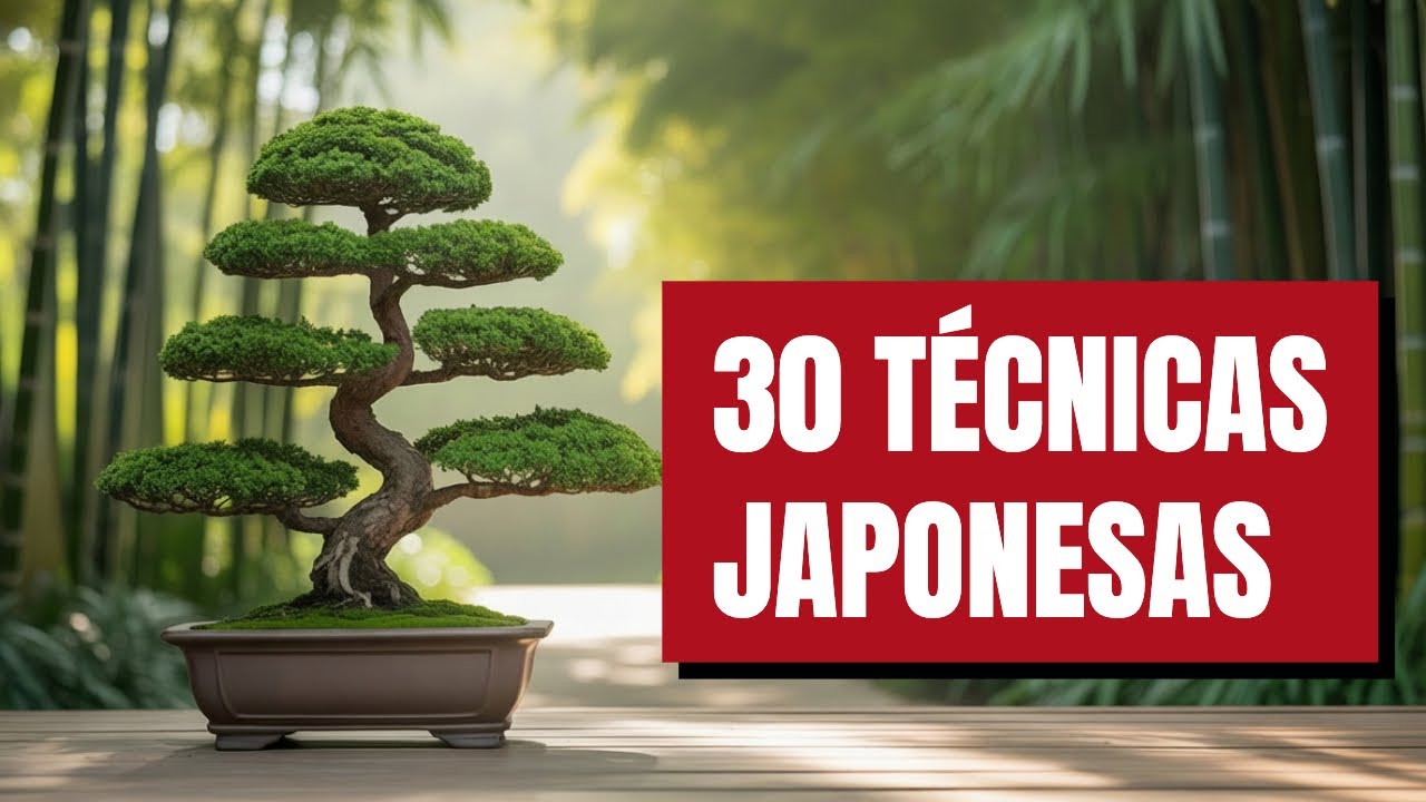 Japón no es minimalista